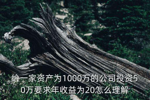 年收益20 是什么意思，預(yù)期年化收益百分之二十是什么意思是指我投一萬一年過去可以拿