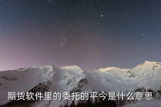 期貨軟件里的委托的平今是什么意思