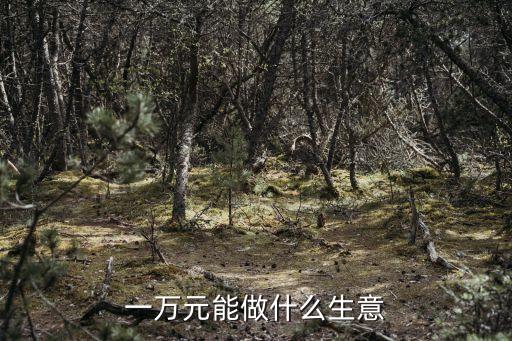 一萬元能做什么生意