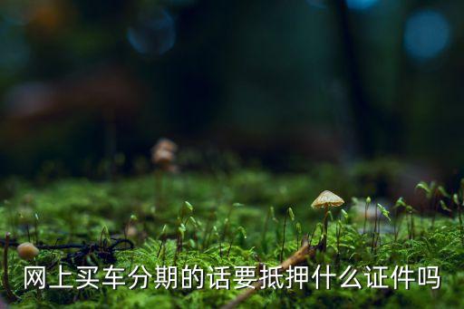 分期車抵押什么證件，分期車4s店需要壓車的什么證件