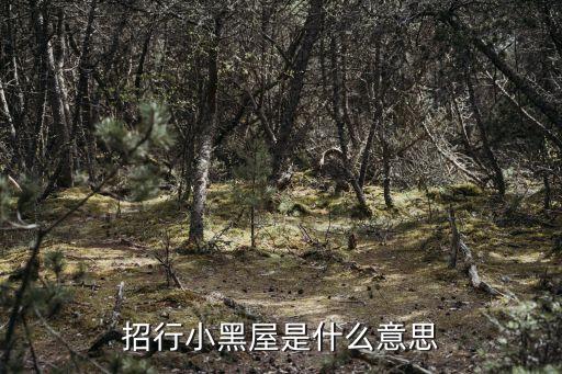 什么試招行黑屋，招行小黑屋是什么意思