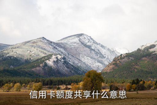 信用卡額度共享什么，同行信用卡額度共享什么意思