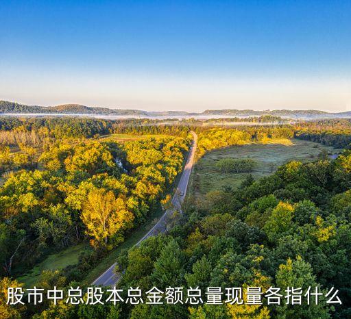 股市中總股本總金額總量現(xiàn)量各指什么