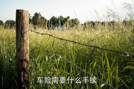 車險需要什么手續(xù)