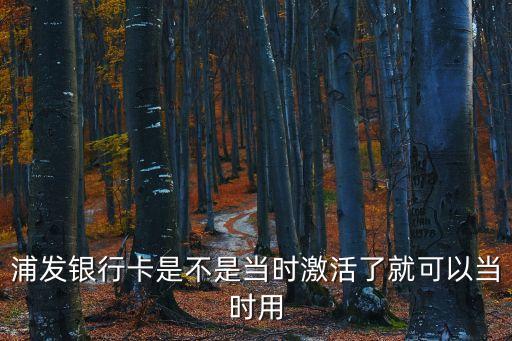 什么事當(dāng)日用卡浦發(fā)，浦發(fā)銀行卡是不是當(dāng)時(shí)激活了就可以當(dāng)時(shí)用