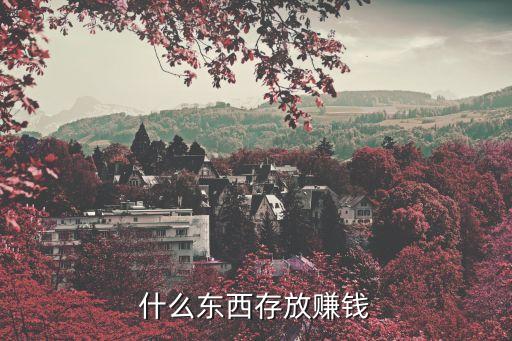 什么東西存放賺錢