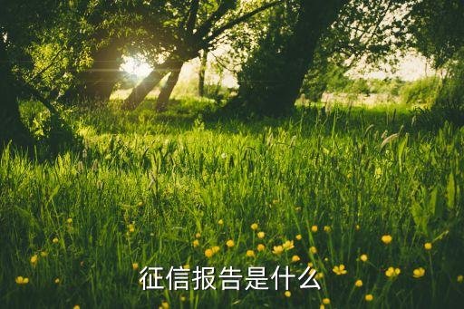 征信報(bào)告是什么