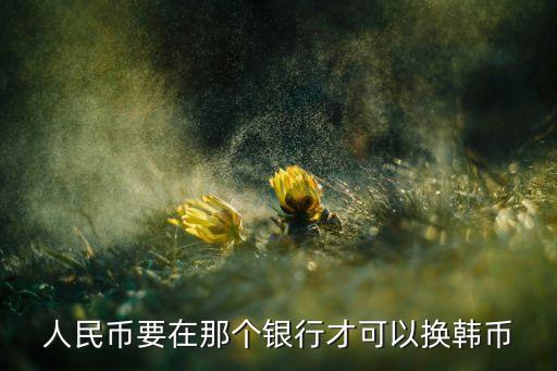 人民幣要在那個(gè)銀行才可以換韓幣