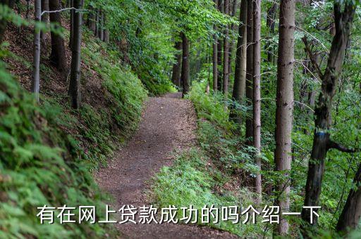 興業(yè)和什么網(wǎng)貸合作，有在網(wǎng)上貸款成功的嗎介紹一下