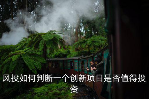 風(fēng)投如何判斷一個(gè)創(chuàng)新項(xiàng)目是否值得投資