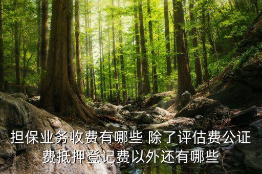 為他人擔(dān)保需要什么手續(xù)費，擔(dān)保業(yè)務(wù)收費有哪些 除了評估費公證費抵押登記費以外還有哪些