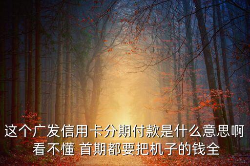 這個(gè)廣發(fā)信用卡分期付款是什么意思啊 看不懂 首期都要把機(jī)子的錢全