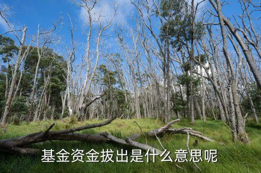 基金資金拔出是什么意思呢
