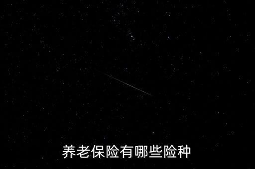 養(yǎng)老保險(xiǎn)有哪些險(xiǎn)種