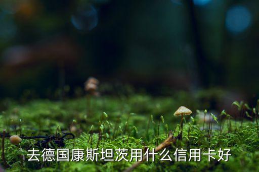去德國康斯坦茨用什么信用卡好