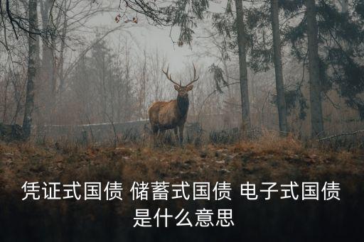 憑證式國債 儲(chǔ)蓄式國債 電子式國債 是什么意思