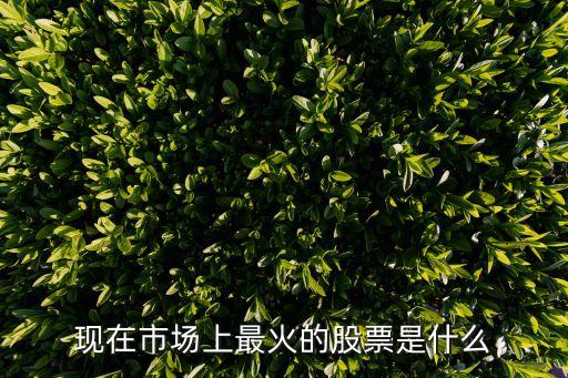 現(xiàn)在市場上最火的股票是什么