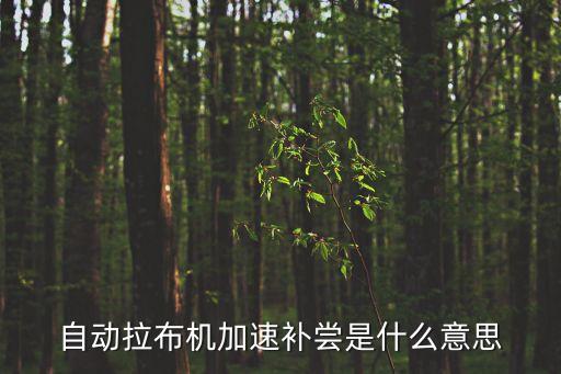 補(bǔ)跌是什么意思，補(bǔ)裰是什么意思