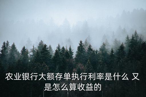 農業(yè)銀行大額存單執(zhí)行利率是什么 又是怎么算收益的