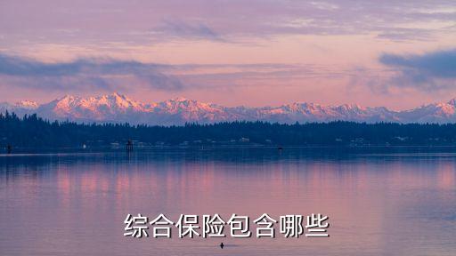 綜合保險(xiǎn)包含哪些