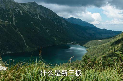 新三板是指什么股票，什么是新三板
