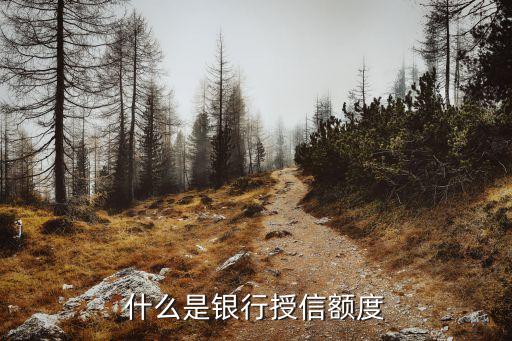 什么是已使用授信額度，什么是銀行授信額度