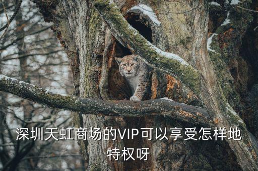 深圳天虹商場的VIP可以享受怎樣地特權(quán)呀