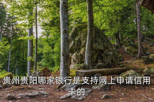 貴州有什么銀行信用卡，貴州有廣發(fā)銀行嗎