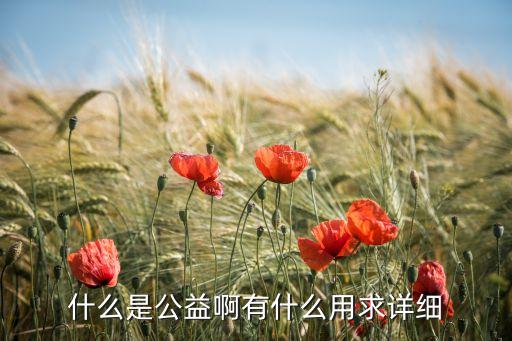 眾善公益是什么意思，什么是公益啊有什么用求詳細(xì)