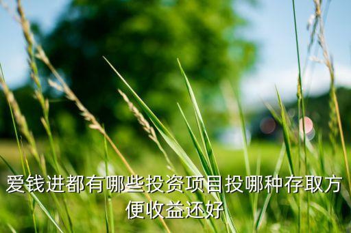 愛錢進(jìn)都有什么產(chǎn)品，愛錢進(jìn)項(xiàng)目有哪些
