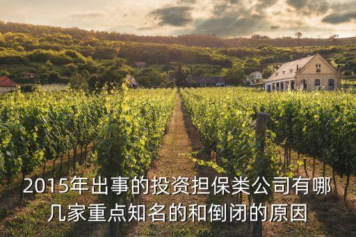 2015年出事的投資擔(dān)保類(lèi)公司有哪幾家重點(diǎn)知名的和倒閉的原因