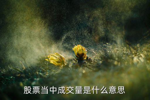 股票成交量數(shù)字是什么，什么是成交金額成交數(shù)量