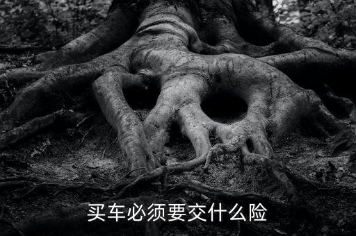 買車必須要交什么險