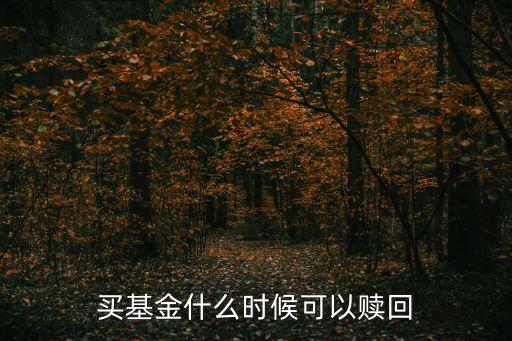 買基金什么時候可以贖回
