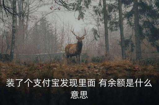 裝了個支付寶發(fā)現(xiàn)里面 有余額是什么意思