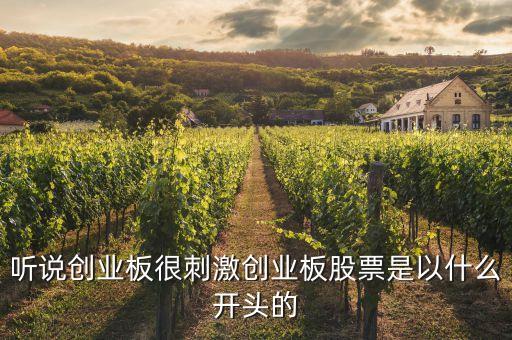 創(chuàng)業(yè)板股票是什么開頭的，創(chuàng)業(yè)板股票的代碼是以什么開頭的