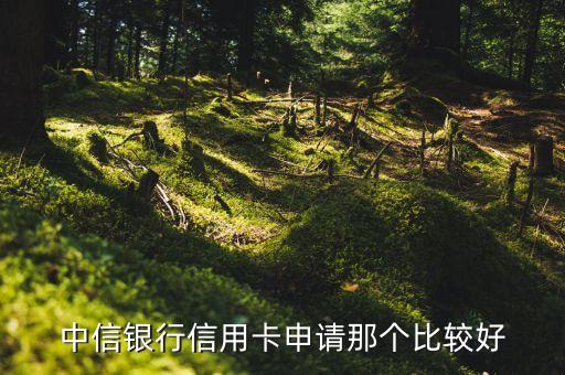 中信銀行信用卡申請那個比較好