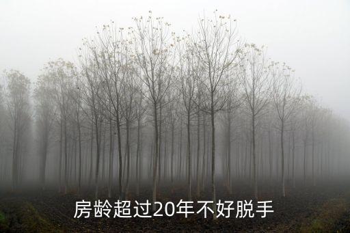 房齡超過20年有什么，房齡超過20年不好脫手