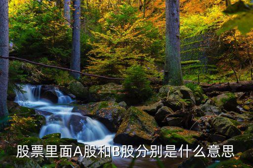 a股b股是什么意思，股票中A股和B股是什么意思