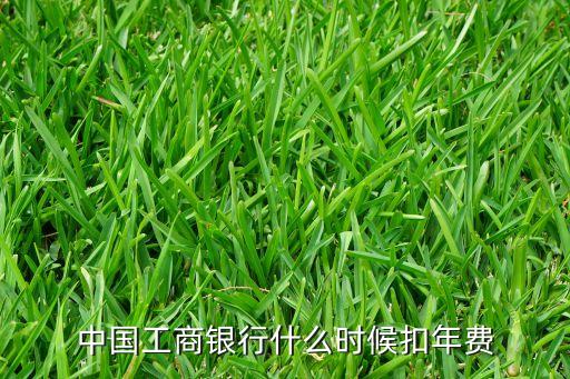 中國工商銀行什么時候扣年費