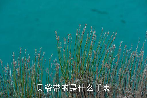 貝爺帶的是什么手表