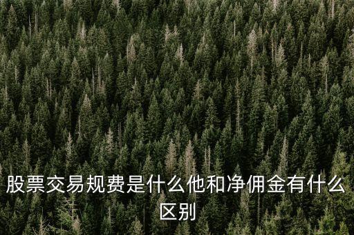 股票交易規(guī)費(fèi)是什么他和凈傭金有什么區(qū)別
