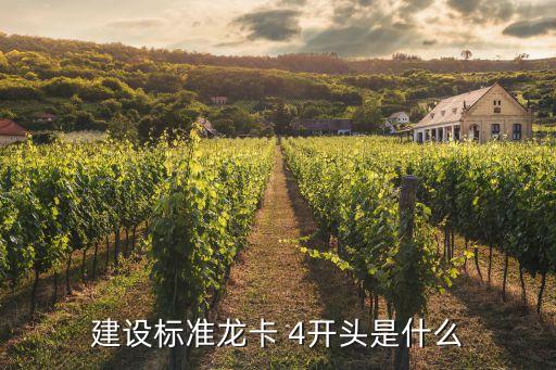建設(shè)標(biāo)準(zhǔn)龍卡 4開頭是什么