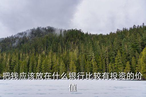 把錢應(yīng)該放在什么銀行比較有投資的價(jià)值