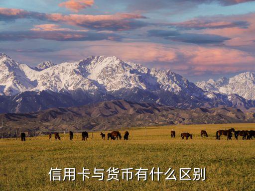 信用卡與貨幣的區(qū)別是什么意思，信用卡和信用幣的區(qū)別