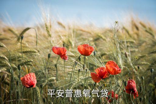 氧氣貸借款保險是什么意思，平安氧氣貸中的保險合同是什么意思