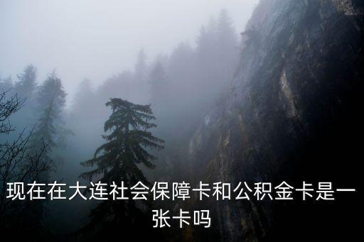 大連公積金什么銀行卡，大連開發(fā)區(qū)公積金貸款的話要辦理哪個(gè)銀行卡