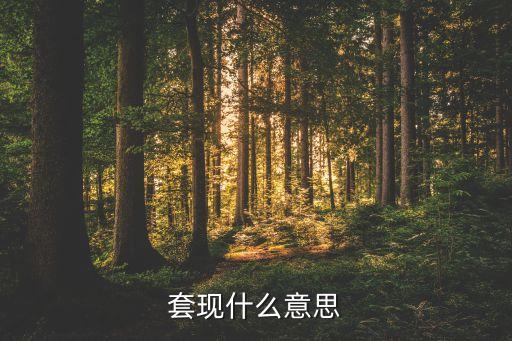 房貸套現(xiàn)是什么意思，買房購車里所說的套現(xiàn)是啥意思