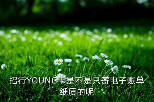 招行YOUNG卡是不是只寄電子賬單紙質(zhì)的呢