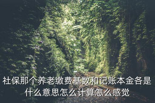 社保那個(gè)養(yǎng)老繳費(fèi)基數(shù)和記賬本金各是什么意思怎么計(jì)算怎么感覺